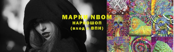 эйфоретик Инта
