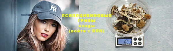марки nbome Инсар