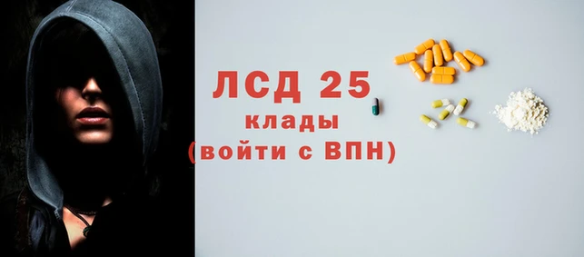 эйфоретик Инта